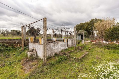 Farm hus i Evora, Evora, Evora - € 360.000 | Ref: 318/Q/03790 - foto 40