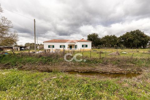 Farm hus i Evora, Evora, Evora - € 360.000 | Ref: 318/Q/03790 - foto 41