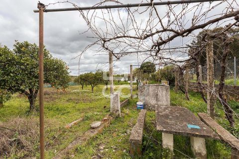 Farm hus i Evora, Evora, Evora - € 360.000 | Ref: 318/Q/03790 - foto 42