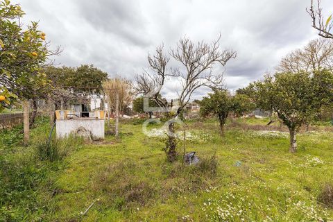 Farm hus i Evora, Evora, Evora - € 360.000 | Ref: 318/Q/03790 - foto 43