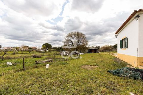 Farm hus i Evora, Evora, Evora - € 360.000 | Ref: 318/Q/03790 - foto 44
