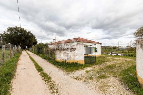 Farm hus i Evora, Evora, Evora - € 360.000 | Ref: 318/Q/03790 - foto 47