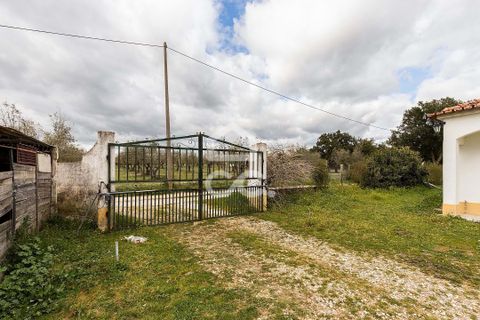 Farm hus i Evora, Evora, Evora - € 360.000 | Ref: 318/Q/03790 - foto 48