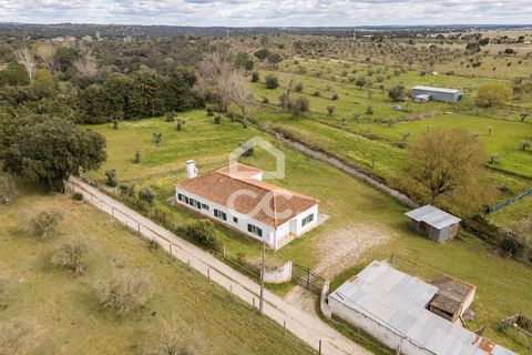 Farm hus i Evora, Evora, Evora - € 360.000 | Ref: 318/Q/03790 - foto 4