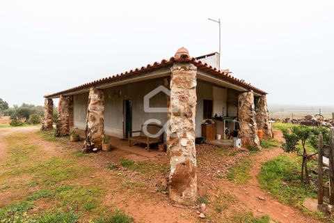 Gårdshus i Sousel, Portalegre, Sousel - € 320 000 | Ref: 318/Q/03785 - foto 11