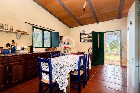 Gårdshus i Sousel, Portalegre, Sousel - € 320 000 | Ref: 318/Q/03785 - foto 17