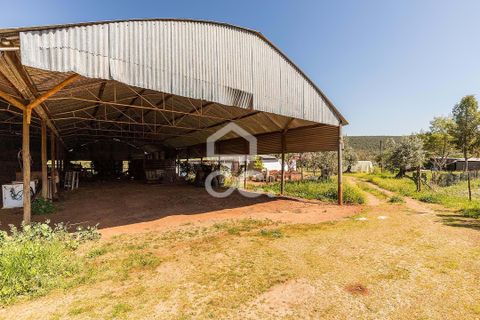 Gårdshus i Sousel, Portalegre, Sousel - € 320 000 | Ref: 318/Q/03785 - foto 36