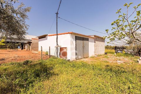 Gårdshus i Sousel, Portalegre, Sousel - € 320 000 | Ref: 318/Q/03785 - foto 37