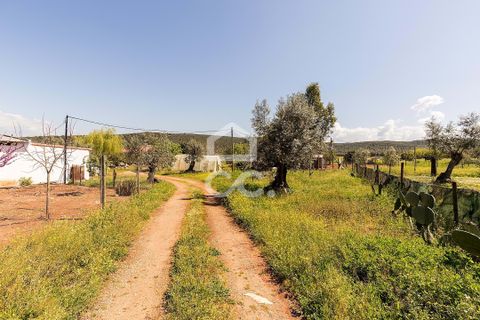 Gårdshus i Sousel, Portalegre, Sousel - € 320 000 | Ref: 318/Q/03785 - foto 42