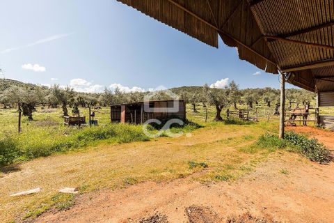 Gårdshus i Sousel, Portalegre, Sousel - € 320 000 | Ref: 318/Q/03785 - foto 45