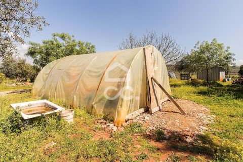 Gårdshus i Sousel, Portalegre, Sousel - € 320 000 | Ref: 318/Q/03785 - foto 46