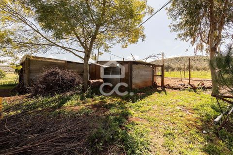 Gårdshus i Sousel, Portalegre, Sousel - € 320 000 | Ref: 318/Q/03785 - foto 47