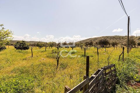 Gårdshus i Sousel, Portalegre, Sousel - € 320 000 | Ref: 318/Q/03785 - foto 48