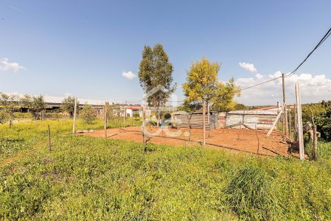 Gårdshus i Sousel, Portalegre, Sousel - € 320 000 | Ref: 318/Q/03785 - foto 49