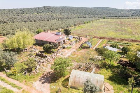 Gårdshus i Sousel, Portalegre, Sousel - € 320 000 | Ref: 318/Q/03785 - foto 5