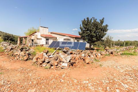 Gårdshus i Sousel, Portalegre, Sousel - € 320 000 | Ref: 318/Q/03785 - foto 10