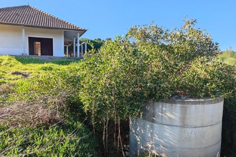 Helårsgrund i Vau, Leiria, Vau - € 1.300.000 | Ref: KWPT-026231 - foto 20