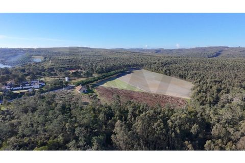 Helårsgrund i Vau, Leiria, Vau - € 1.300.000 | Ref: KWPT-026231 - foto 22