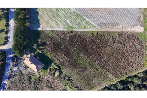 Helårsgrund i Vau, Leiria, Vau - € 1.300.000 | Ref: KWPT-026231 - foto 23