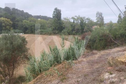 Helårsgrund i Mafra, Lisbon, Mafra - € 36.500 | Ref: KWPT-027344 - foto 3