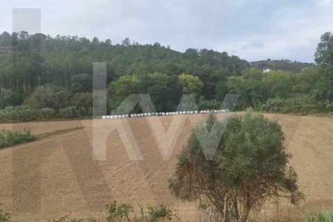 Helårsgrund i Mafra, Lisbon, Mafra - € 36.500 | Ref: KWPT-027344 - foto 4