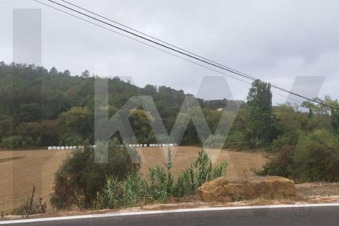Helårsgrund i Mafra, Lisbon, Mafra - € 36.500 | Ref: KWPT-027344 - foto 5