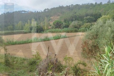 Helårsgrund i Mafra, Lisbon, Mafra - € 36.500 | Ref: KWPT-027344 - foto 6