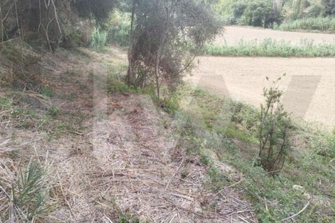 Helårsgrund i Mafra, Lisbon, Mafra - € 36.500 | Ref: KWPT-027344 - foto 7