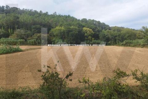 Helårsgrund i Mafra, Lisbon, Mafra - € 36.500 | Ref: KWPT-027344 - foto 8