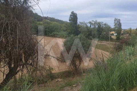 Helårsgrund i Mafra, Lisbon, Mafra - € 36.500 | Ref: KWPT-027344 - foto 9