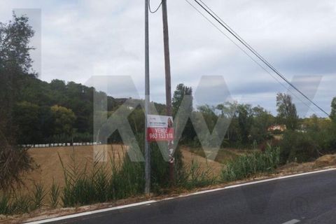 Helårsgrund i Mafra, Lisbon, Mafra - € 36.500 | Ref: KWPT-027344 - foto 10