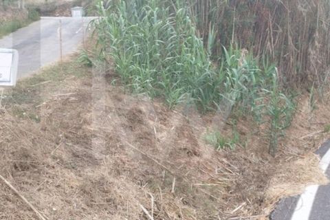 Helårsgrund i Mafra, Lisbon, Mafra - € 36.500 | Ref: KWPT-027344 - foto 11
