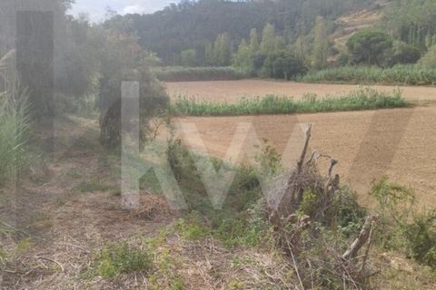Helårsgrund i Mafra, Lisbon, Mafra - € 36.500 | Ref: KWPT-027344 - foto 12