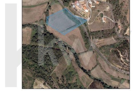 Helårsgrund i Mafra, Lisbon, Mafra - € 36.500 | Ref: KWPT-027344 - foto 14