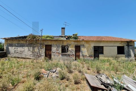 Villa a Santa Comba Dao, Viseu, Santa Comba Dao - € 250.000 | Ref: KWPT-024071 - foto 30