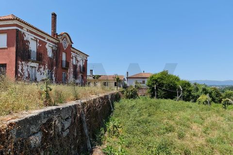 Villa a Santa Comba Dao, Viseu, Santa Comba Dao - € 250.000 | Ref: KWPT-024071 - foto 44