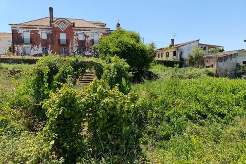 Villa a Santa Comba Dao, Viseu, Santa Comba Dao - € 250.000 | Ref: KWPT-024071 - foto 45