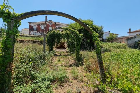 Villa a Santa Comba Dao, Viseu, Santa Comba Dao - € 250.000 | Ref: KWPT-024071 - foto 48