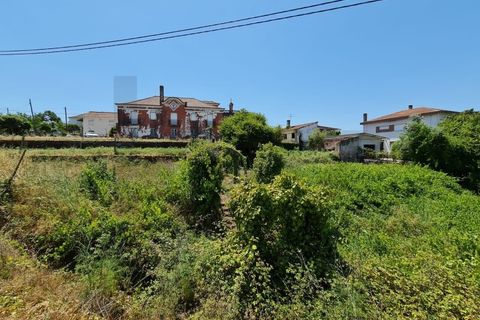 Villa a Santa Comba Dao, Viseu, Santa Comba Dao - € 250.000 | Ref: KWPT-024071 - foto 49