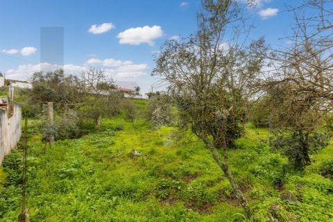 Villa a Gaviao, Portalegre, Gaviao - € 47.000 | Ref: KWPT-028582 - foto 20