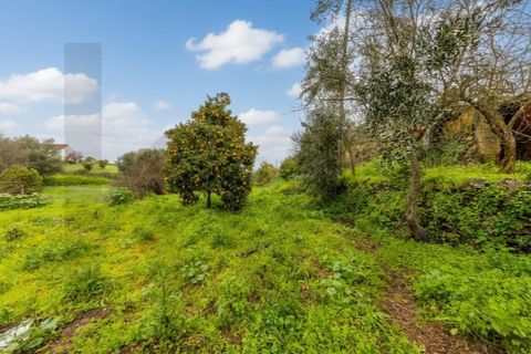 Villa a Gaviao, Portalegre, Gaviao - € 47.000 | Ref: KWPT-028582 - foto 21