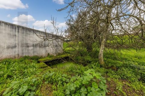 Villa a Gaviao, Portalegre, Gaviao - € 47.000 | Ref: KWPT-028582 - foto 22