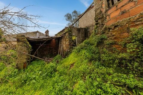 Villa a Gaviao, Portalegre, Gaviao - € 47.000 | Ref: KWPT-028582 - foto 36