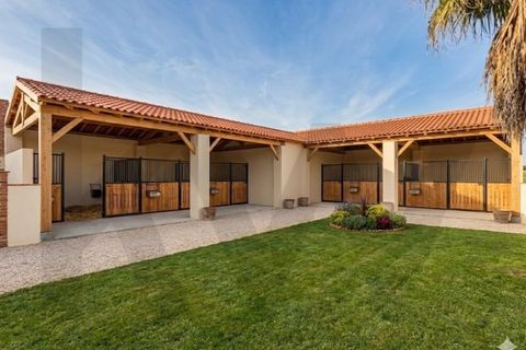 Villa i Vila Cha de Ourique, Santarem, Vila Cha de Ourique - € 380.000 | Ref: KWPT-027341 - foto 5