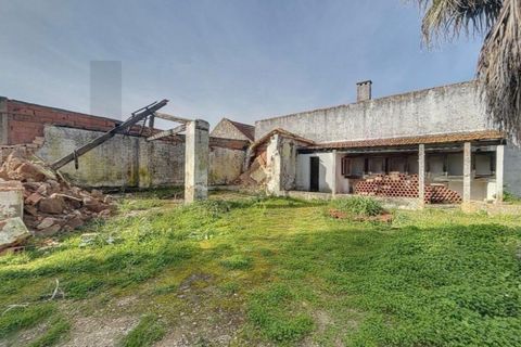 Villa i Vila Cha de Ourique, Santarem, Vila Cha de Ourique - € 380.000 | Ref: KWPT-027341 - foto 6