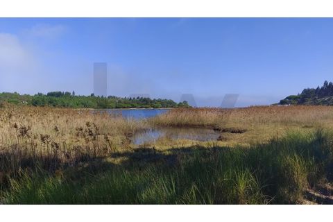 Helårsgrund i Vau, Leiria, Vau - € 750.000 | Ref: KWPT-028165 - foto 2