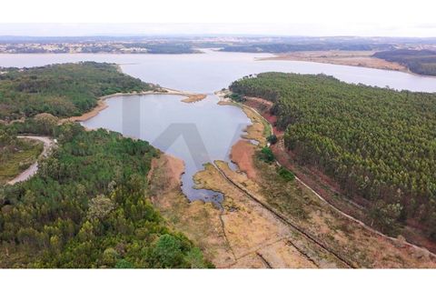 Helårsgrund i Vau, Leiria, Vau - € 750.000 | Ref: KWPT-028165 - foto 5