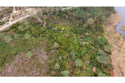 Helårsgrund i Vau, Leiria, Vau - € 750.000 | Ref: KWPT-028165 - foto 7