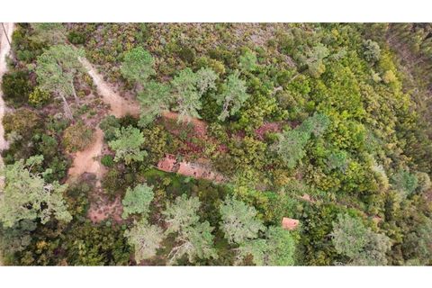 Helårsgrund i Vau, Leiria, Vau - € 750.000 | Ref: KWPT-028165 - foto 10