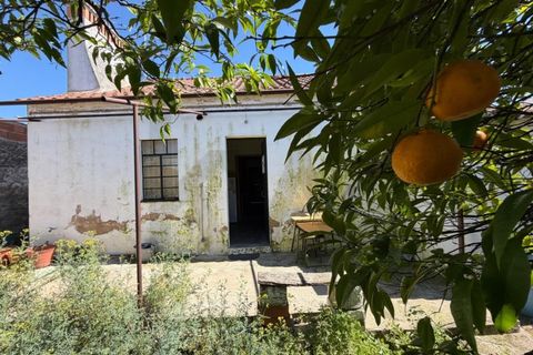 Villa i Abrantes, Santarem, Abrantes - € 148 500 | Ref: KWPT-026928 - foto 7